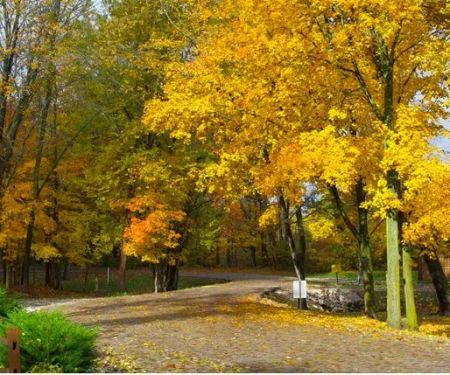 Terre Haute Campground
