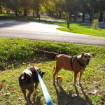 Plainview Campground