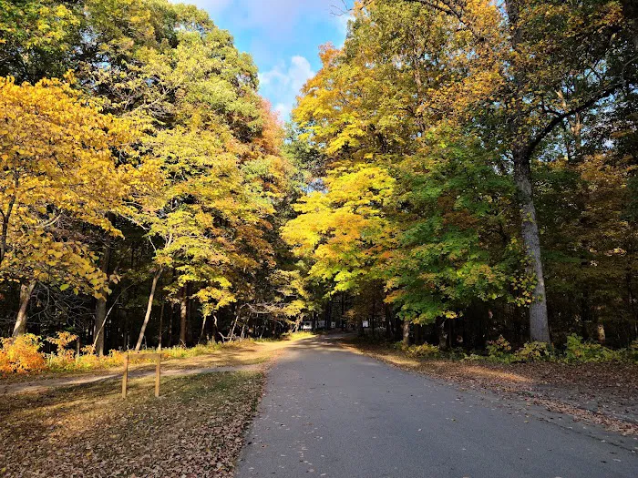Plainview Campground 7