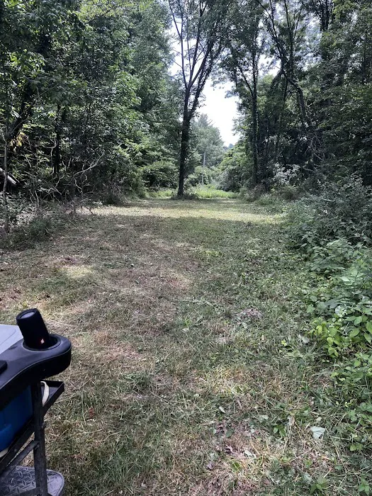 Dogwood Springs Campground 2