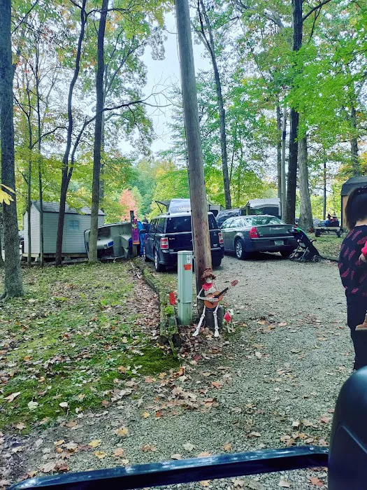 Dogwood Springs Campground 8