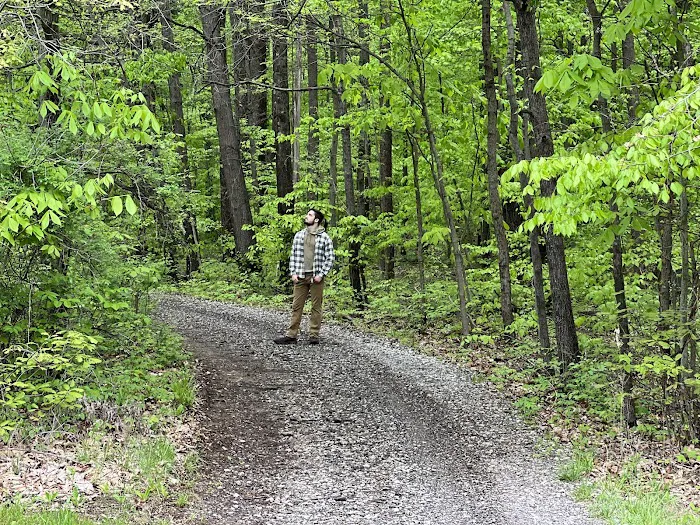 Dogwood Springs Campground 3