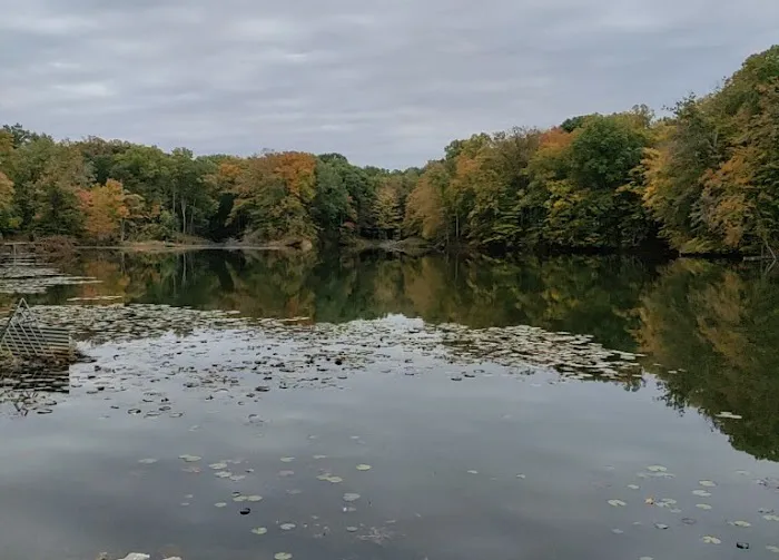 Dogwood Springs Campground 5