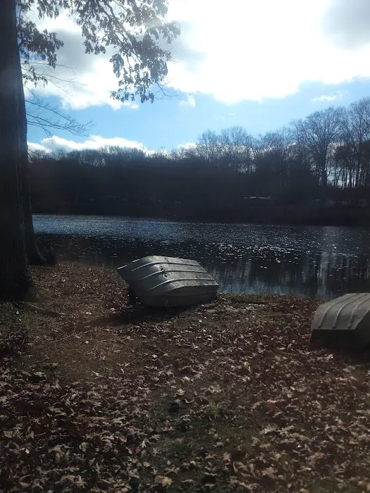 Dogwood Springs Campground 4