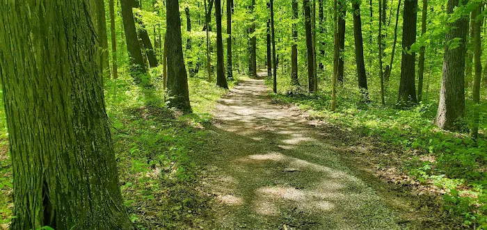 Dogwood Springs Campground 10