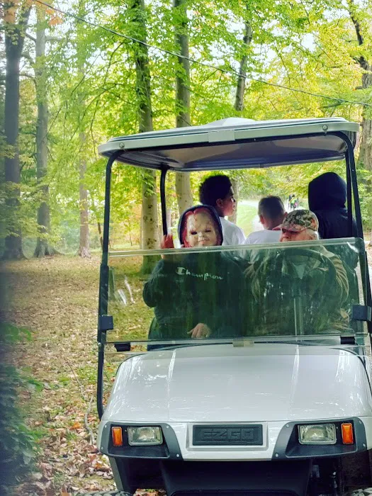 Dogwood Springs Campground 7