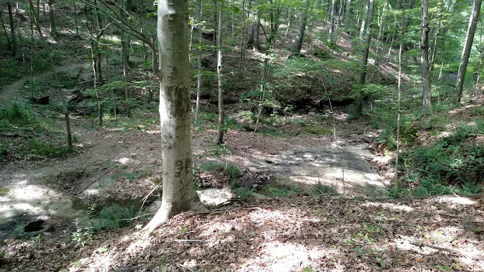 Camp Krietenstein 4