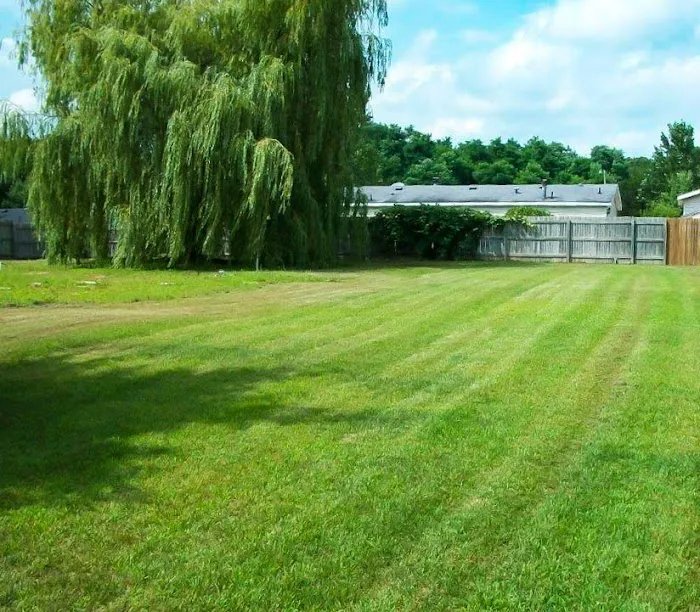Berry Ridge Mobile Home Park 2