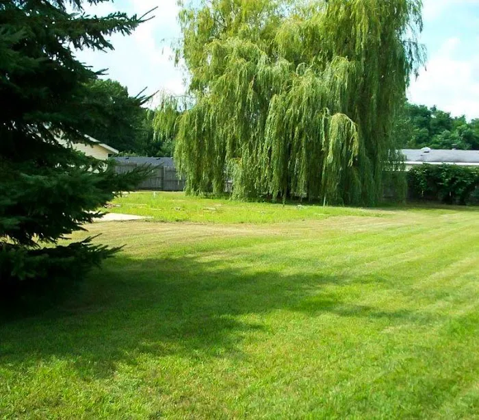 Berry Ridge Mobile Home Park 1