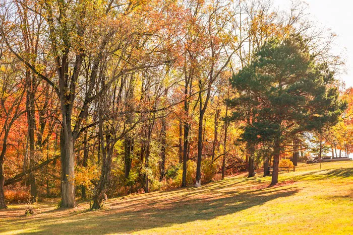 Valley View Campground 10