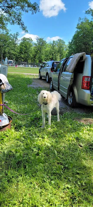 Wannabee Campground 6