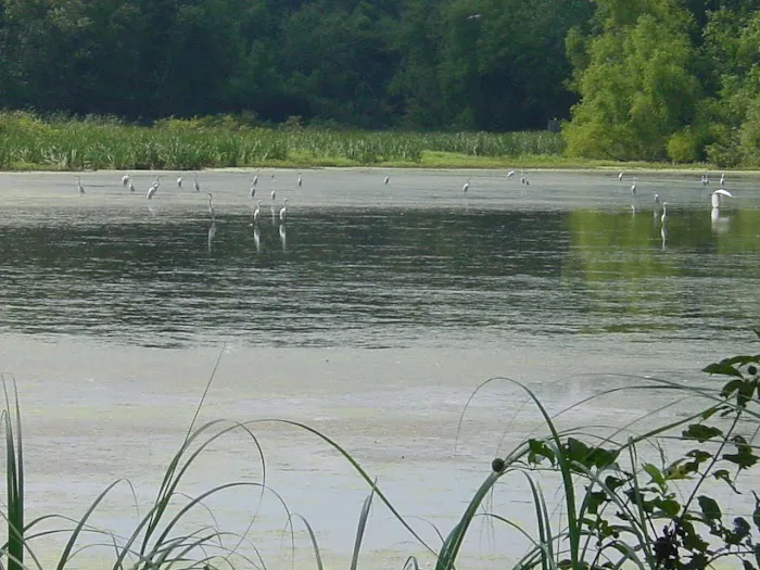 Flaming Prairie Park 10