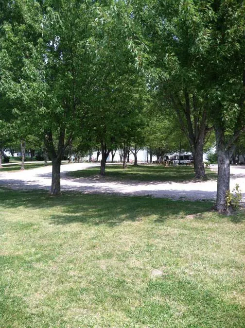Papa's Paradise Campground 4