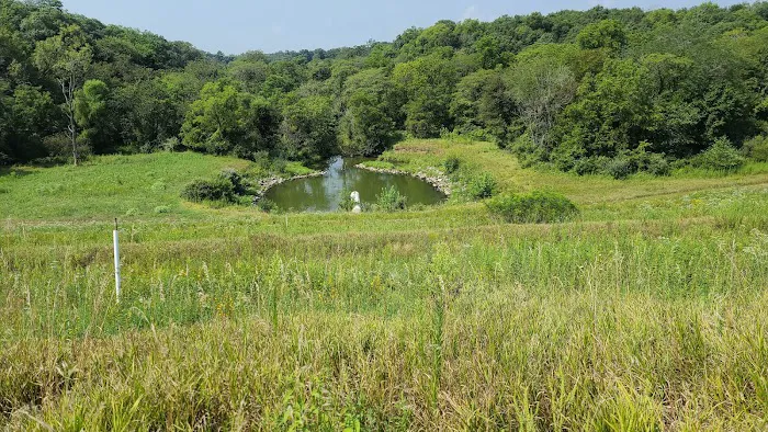 Big Hollow Recreation Area 8