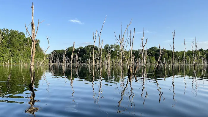 Big Hollow Recreation Area 1