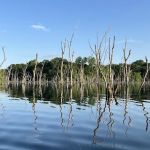 Big Hollow Recreation Area
