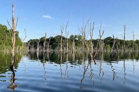 Big Hollow Recreation Area