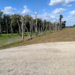 Blanchard Island Campground