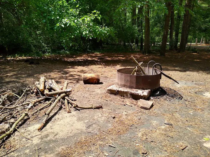 Pine Campground 3