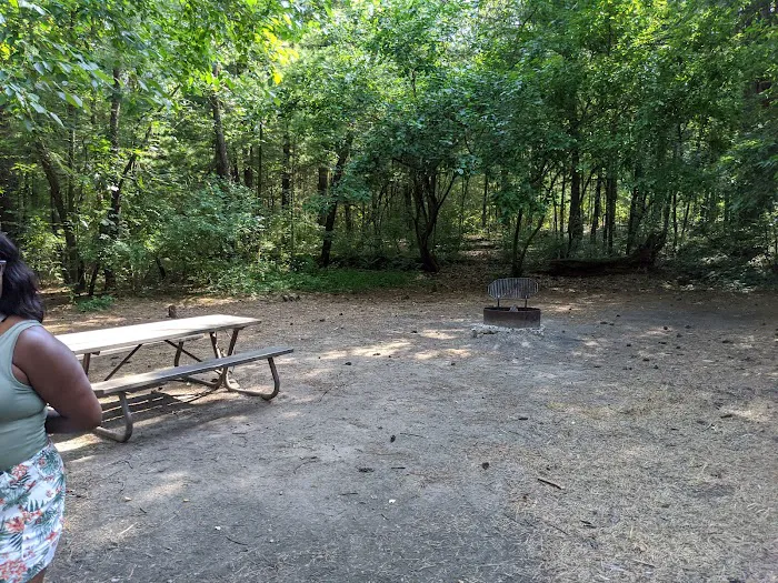 Pine Campground 10