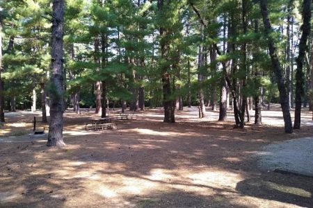 Pine Campground