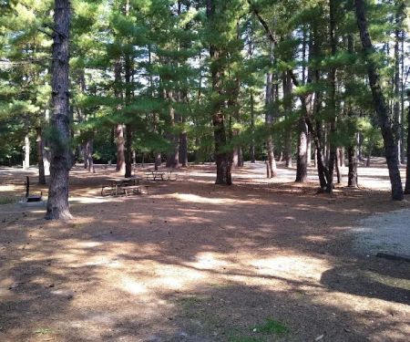 Pine Campground