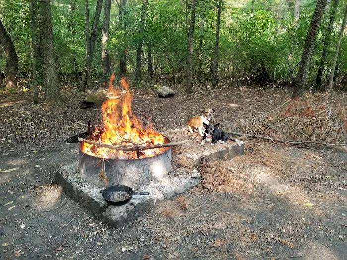Pine Campground 8