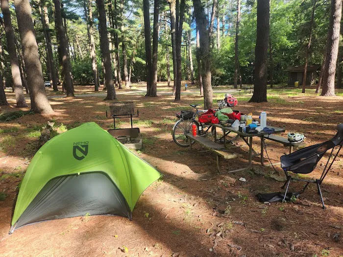 Pine Campground 9