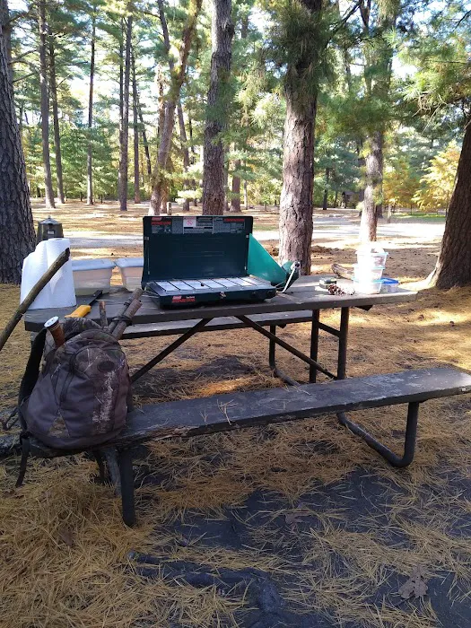 Pine Campground 4