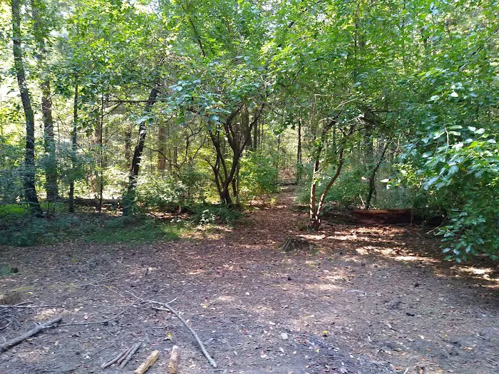 Pine Campground 6