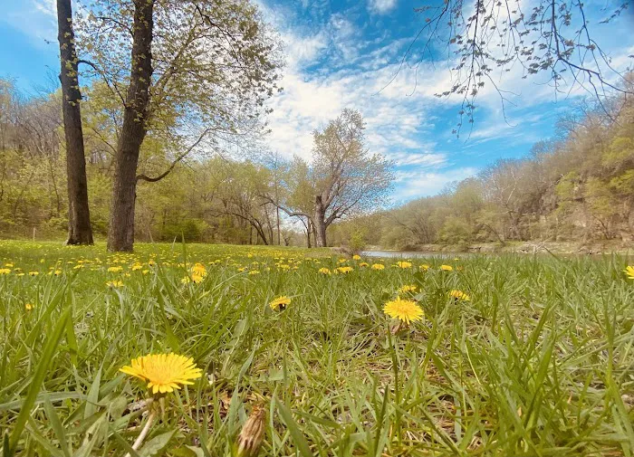 Wapsipinicon State Park Campground 4