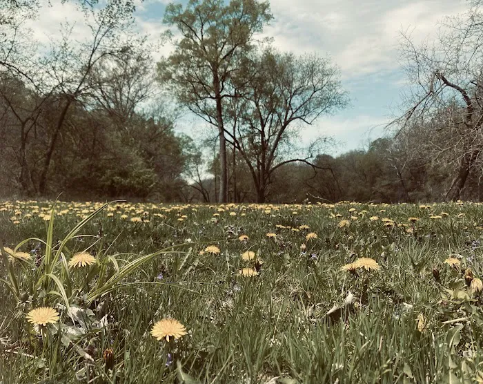 Wapsipinicon State Park Campground 2
