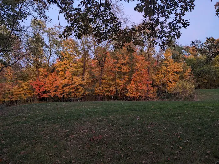Wapsipinicon State Park Campground 9