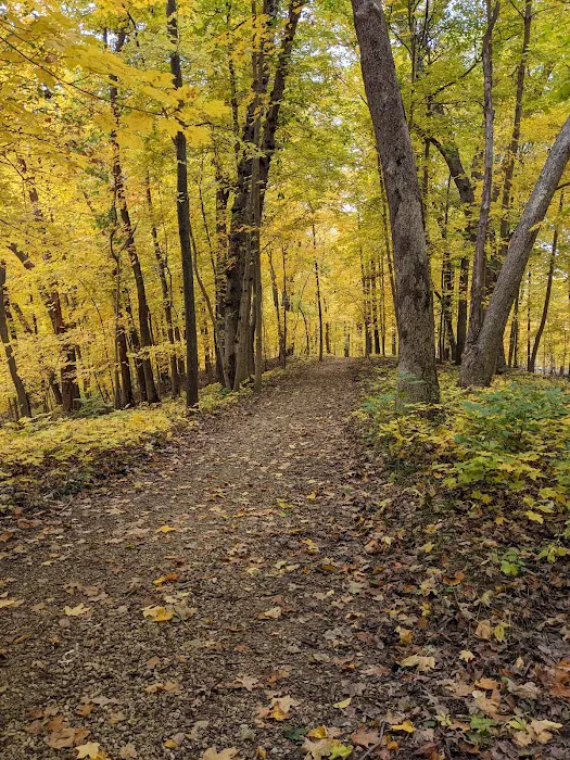 Wapsipinicon State Park Campground 5