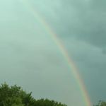 Carlton Mobile Home Court