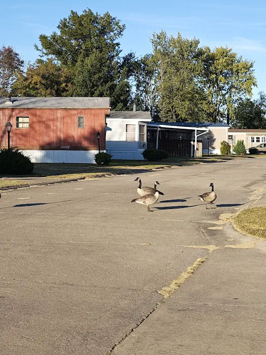 Bon-Aire Mobile Home Lodge 8