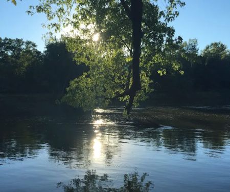 Tailwater East Campground