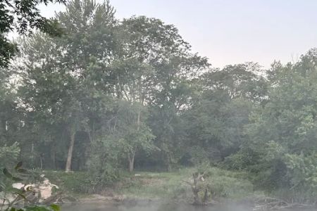 River JCT