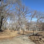 Lake Macbride Southern Campground