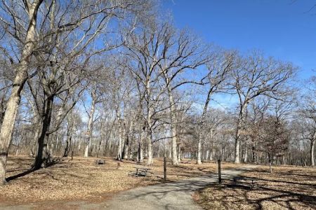 Lake Macbride Southern Campground