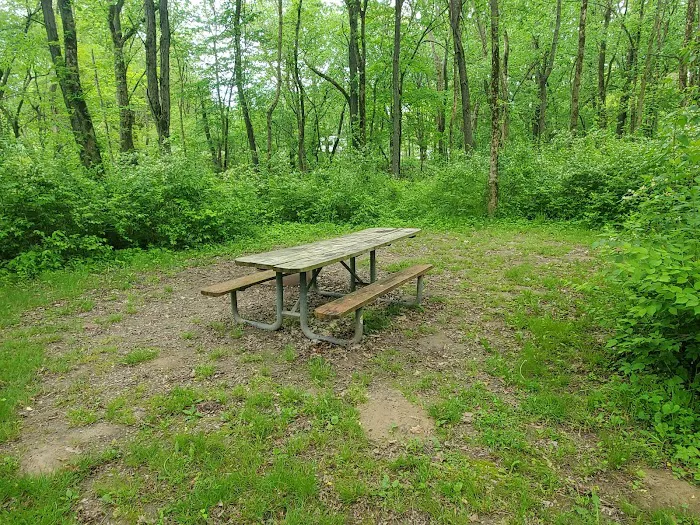 Sugar Bottom Campground 4