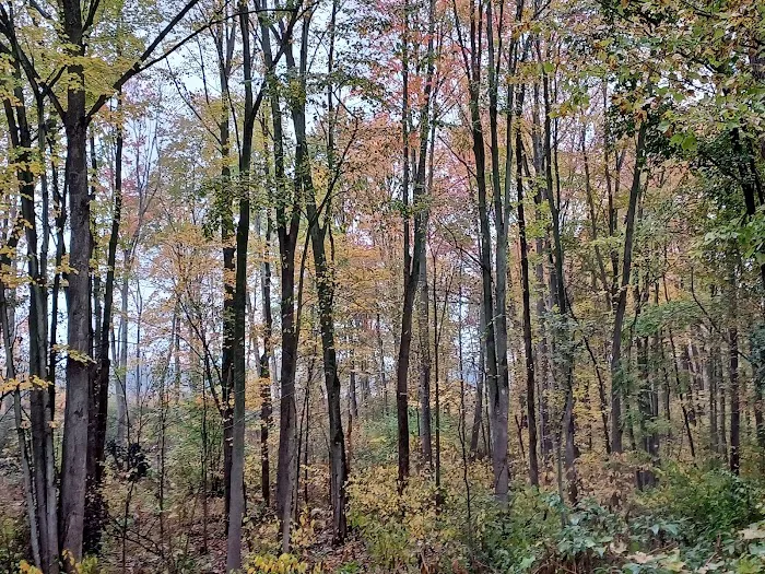Sugar Loaf Mobile Home Park 9