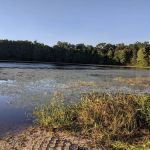 Ely Lake Campground