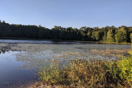 Ely Lake Campground