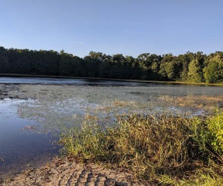 Ely Lake Campground