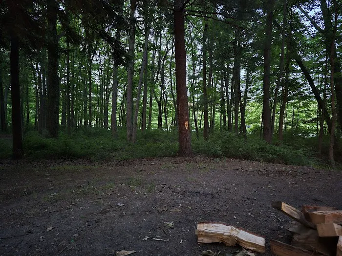 Ely Lake Campground 3
