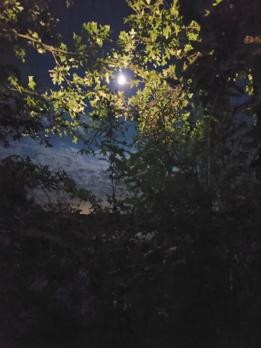 Ely Lake Campground 7