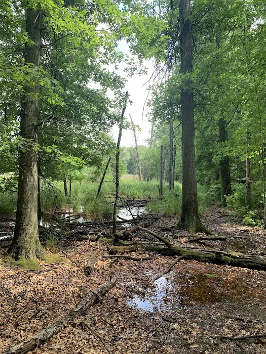 Ely Lake Campground 10