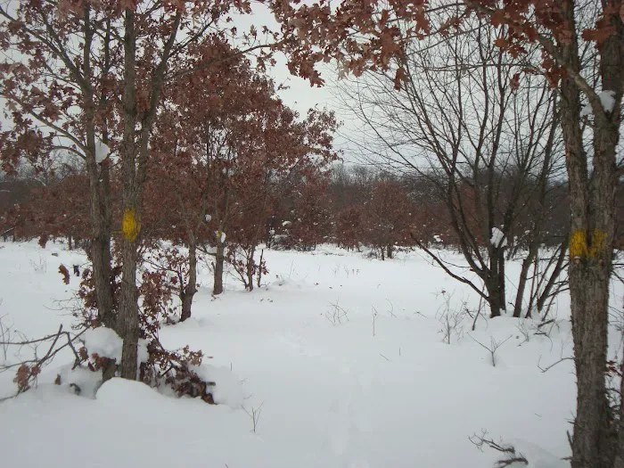 Horsemans Campground 1