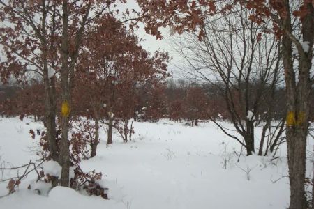 Horsemans Campground
